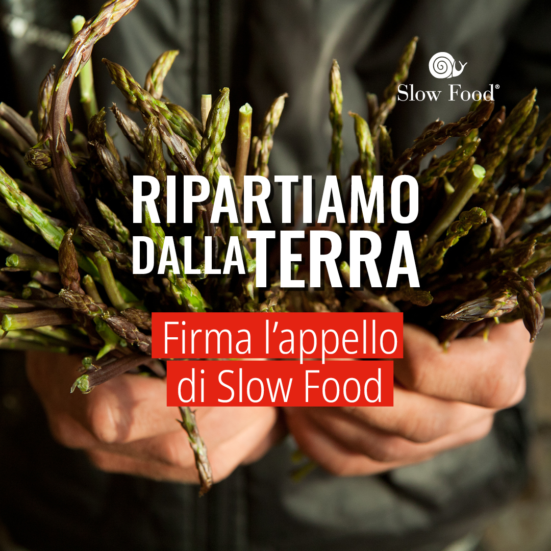 Slow Food: ripartiamo dalla terra!