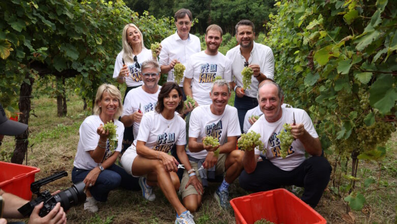 Vendemmia Solidale- Paolo Kessisoglu vignaiolo per un giorno